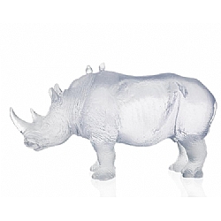 Daum   Animals   Wildlife - Daum White Rhinoceros