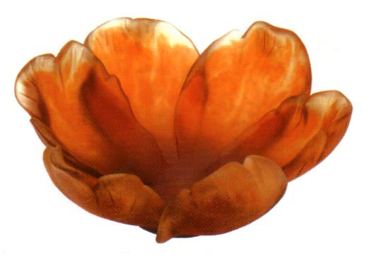 Daum Tulip Bowl