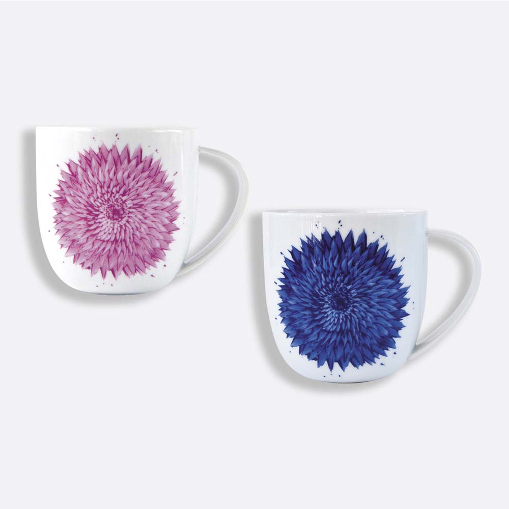 Bernardaud in Bloom Breakfast Cup and Saucer